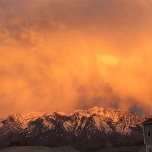 Meet your Posher, Nelson